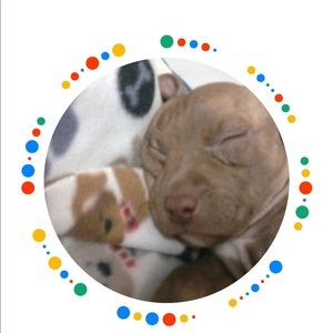 Meet your Posher, Roxanne